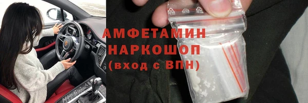 молекула духа Балахна