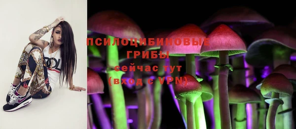 ECSTASY Армянск