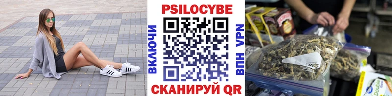 Псилоцибиновые грибы GOLDEN TEACHER  Никольск 